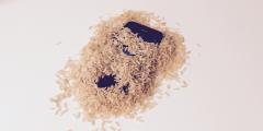 Asciugare lo smartphone bagnato con il riso: un mito da sfatare